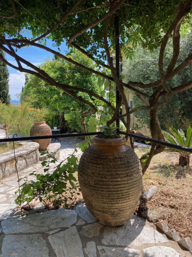 Aliki'S Comfortable Holiday Apartments-Great Location Nisaki  Extérieur photo