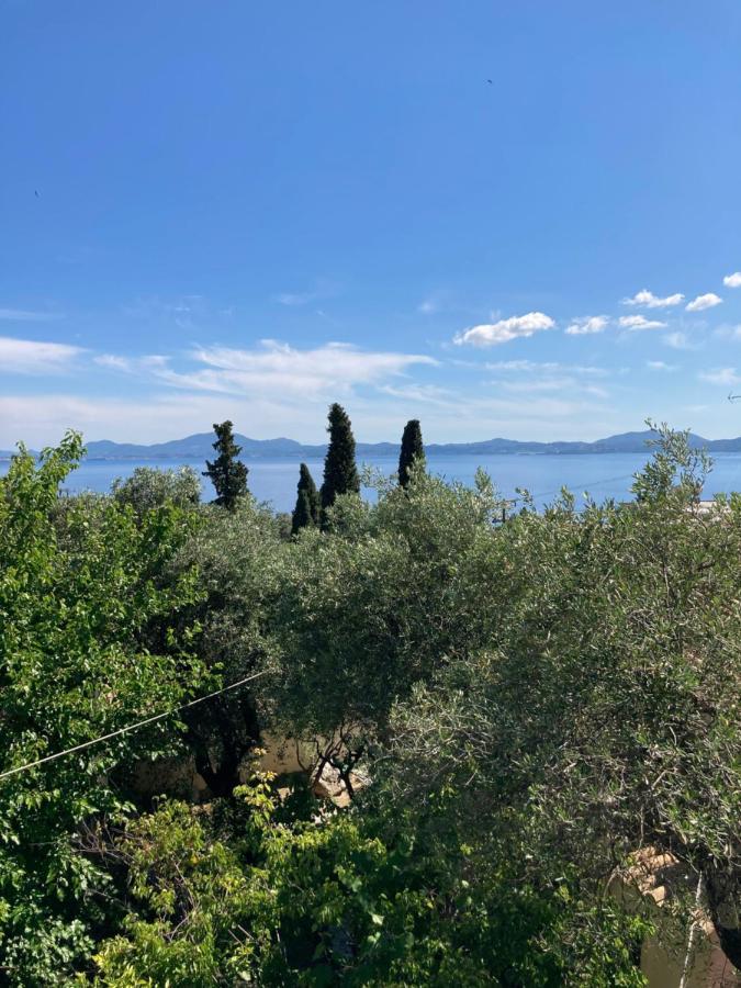 Aliki'S Comfortable Holiday Apartments-Great Location Nisaki  Extérieur photo
