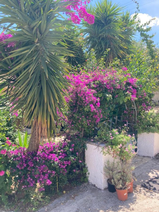 Aliki'S Comfortable Holiday Apartments-Great Location Nisaki  Extérieur photo